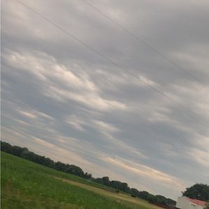 Meet your Posher, Fawn